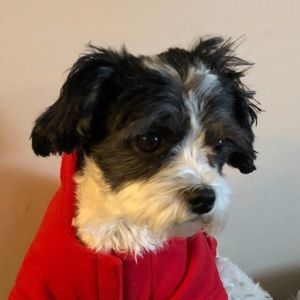 Meet your Posher, Veronica j